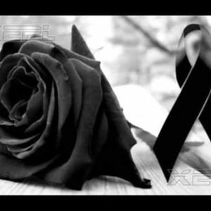 Meet your Posher, Marilu